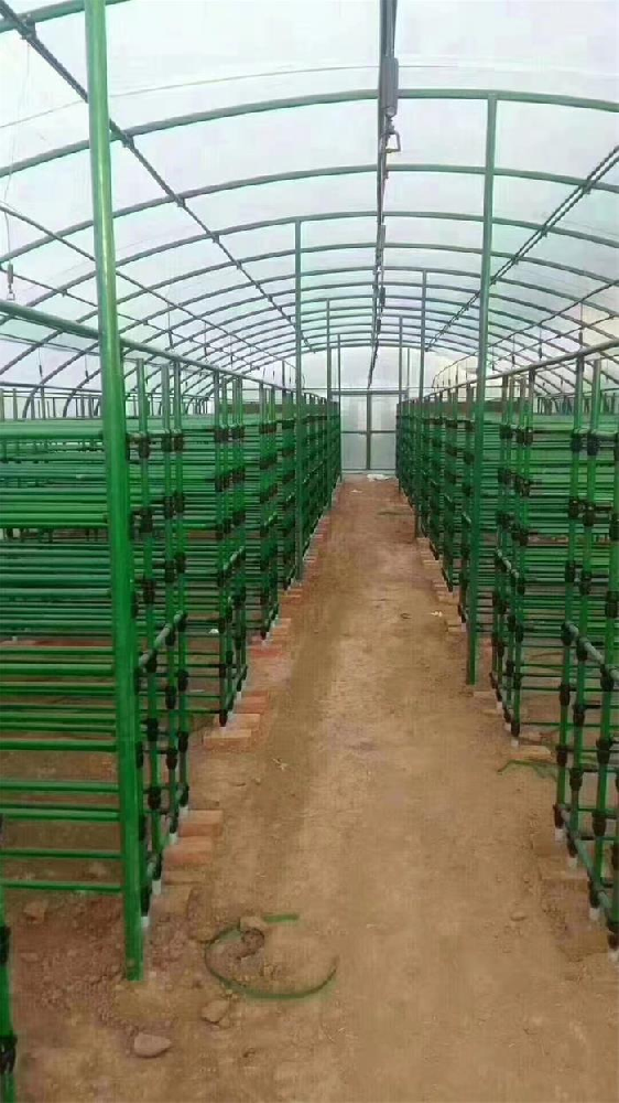 养殖大棚